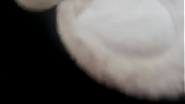 La tua bellissima mamma italiana passa la mattinata provandosi questi fantastici jeans attillati