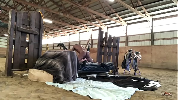 牛仔队 &amp_ 印第安人斯隆骑士教练 Cardher &amp_ 兰迪·丹麦